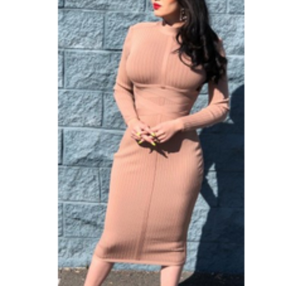 Full Covered Long Sleeve Bodycon Dress